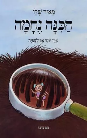 כריכה של הספר הכינה נחמה