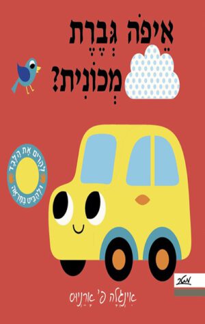 תמונה של הכריכה של הספר איפה גברת מכונית