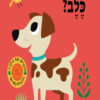 כריכה של הספר איפה מר כלב
