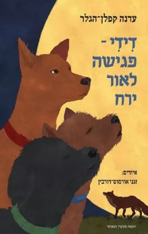 דידי: פגישה לאור ירח