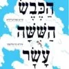 הכבש הששה עשר - יהונתן גפן