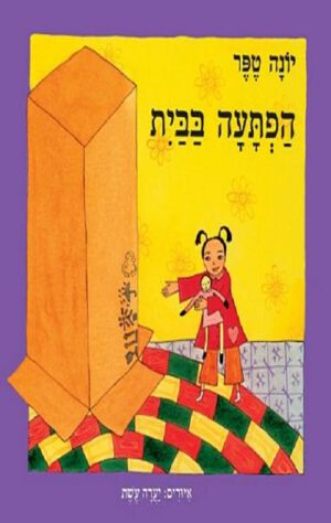 כריכה של הספר הפתעה בבית - קרטון