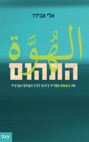 כריכה של הספר התהום - אלי אבידר