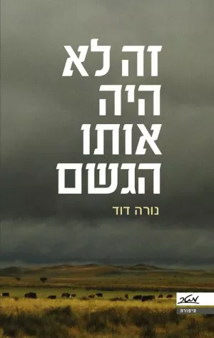 זה לא היה אותו הגשם - נורה דוד