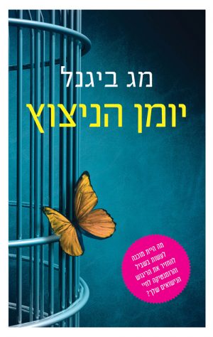 יומן הניצוץ - מג ביגנל
