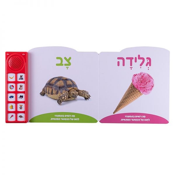 ⁦ספר מדבר המילים הראשונות שלי⁩ – תמונה ⁦3⁩