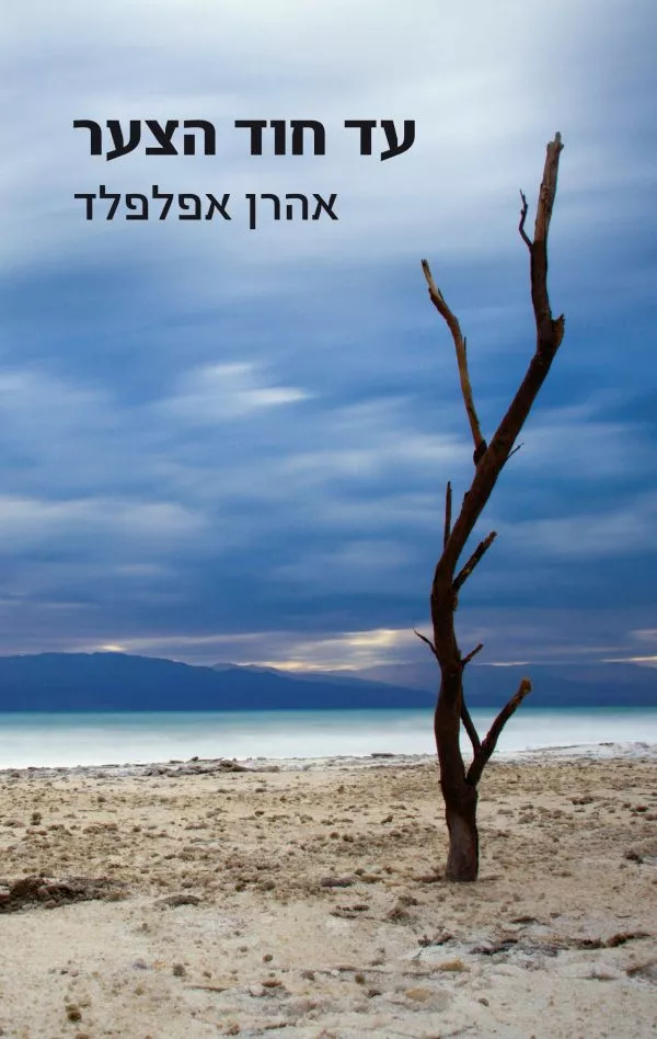 עוד חוד הצער - אהרן אפלפלד