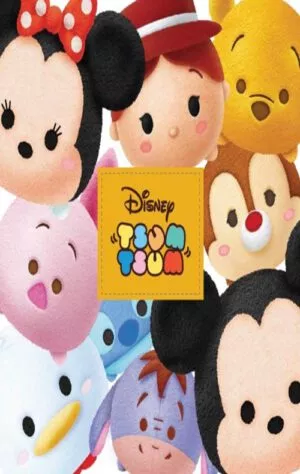 כריכה של הספר צום צום