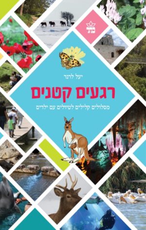 כריכה של הספר רגעים קטנים - יעל לרנר