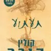 כריכה של הספר תעתוע - קולין הובר